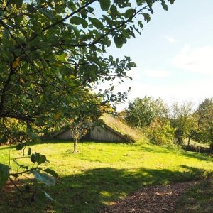 Hébergement insolite en Bretagne : cabane en bois entourée darbres verdoyants.