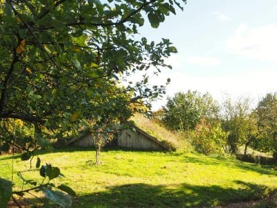 Hébergement insolite en Bretagne : cabane en bois entourée darbres verdoyants.