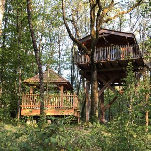 Cabane perchée en bois dans les arbres, entourée de verdure luxuriante en Aquitaine.