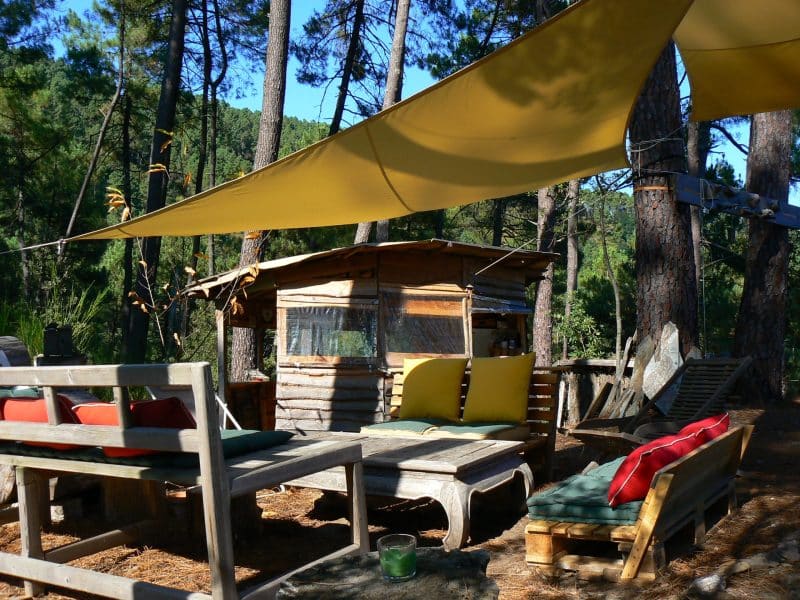 Cabane en bois entourée de pins, avec des sièges colorés sous un auvent.