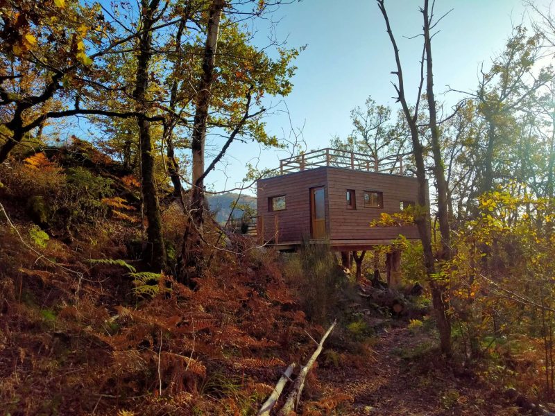 Cabane perchée en bois, entourée darbres et de fougères colorées.