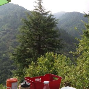 Hébergement insolite en pleine nature, vue sur les montagnes et table conviviale.