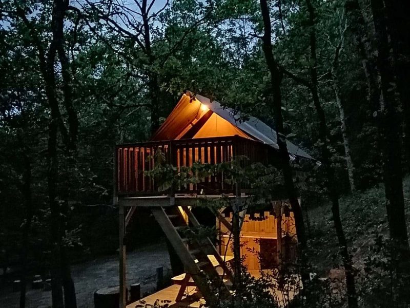 Cabane perchée dans les arbres, éclairée, entourée de verdure au crépuscule.