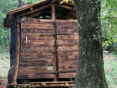 Cabane en bois rustique, nichée dans la verdure du Languedoc-Roussillon.