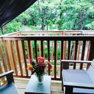Cabane perchée en bois avec vue sur la nature, fleurs colorées sur la table.