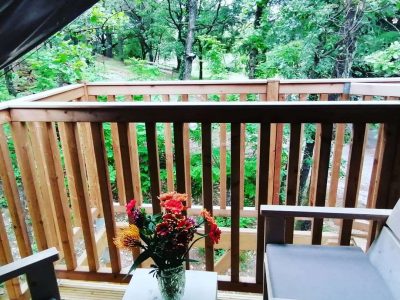 Cabane perchée en bois avec vue sur la nature, fleurs colorées sur la table.
