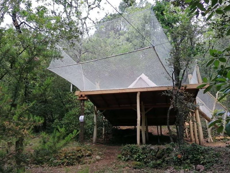 Cabane perchée dans les arbres, entourée de verdure et protégée par un filet.