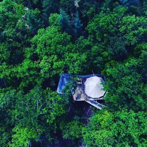 Cabane perchée dans les arbres, entourée dune dense forêt verdoyante.