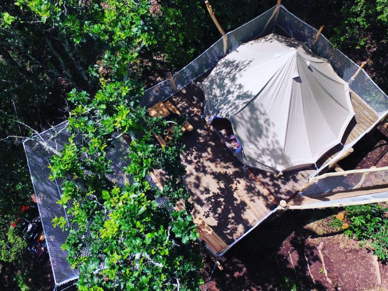 Tente safari perchée dans les arbres, entourée de verdure luxuriante.