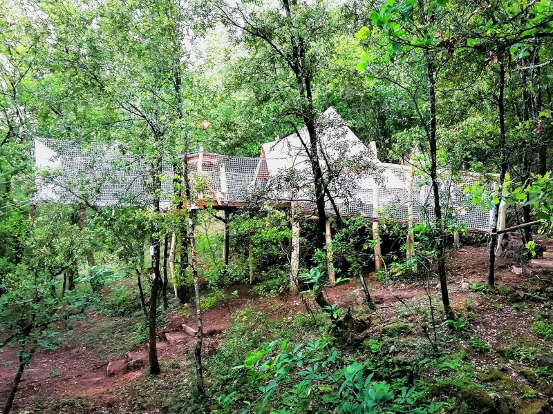 Cabane perchée dans les arbres, entourée de verdure luxuriante et de sentiers naturels.