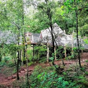 Cabane perchée dans les arbres, entourée de verdure luxuriante à Languedoc-Roussillon.