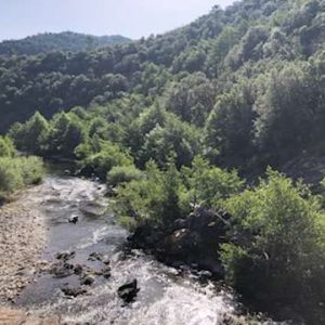 Hébergement insolite en pleine nature, avec une rivière et des arbres verdoyants.