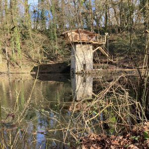 Cabane perchée au bord dun étang, entourée de verdure et de calme naturel.