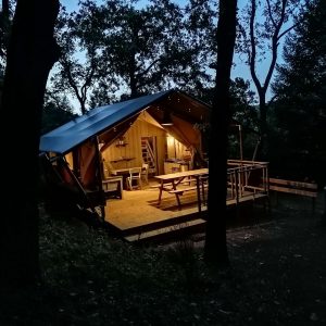 Cabane en bois illuminée, nichée dans la nature, idéale pour un séjour insolite.