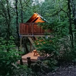 Cabane perchée en bois, illuminée, nichée au cœur dune forêt verdoyante.