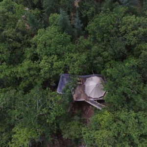 Cabane perchée dans les arbres, entourée dune dense forêt verdoyante.