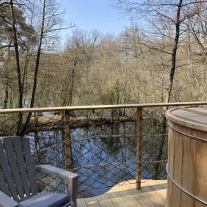 Cabane perchée dans les arbres avec vue sur un lac paisible et nature environnante.