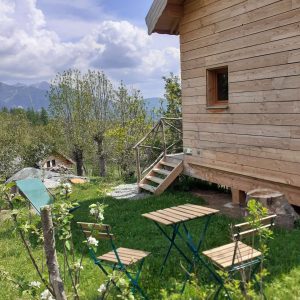 Cabane en bois avec terrasse, entourée de verdure et vue sur les montagnes.