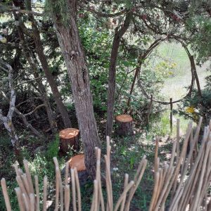 Hébergement insolite en cabane, entouré darbres et de troncs de bois.