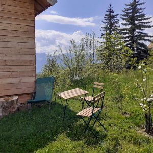 Chalet en bois avec terrasse, entouré de verdure et vue sur les montagnes.