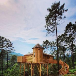 Cabane perchée en bois, entourée de pins, offrant une vue imprenable sur la nature.