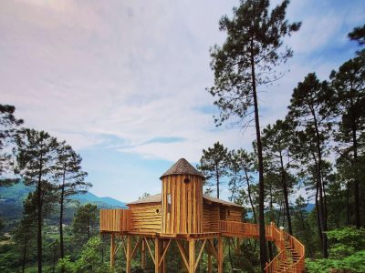 Cabane perchée en bois, entourée de pins, offrant une vue imprenable sur la nature.