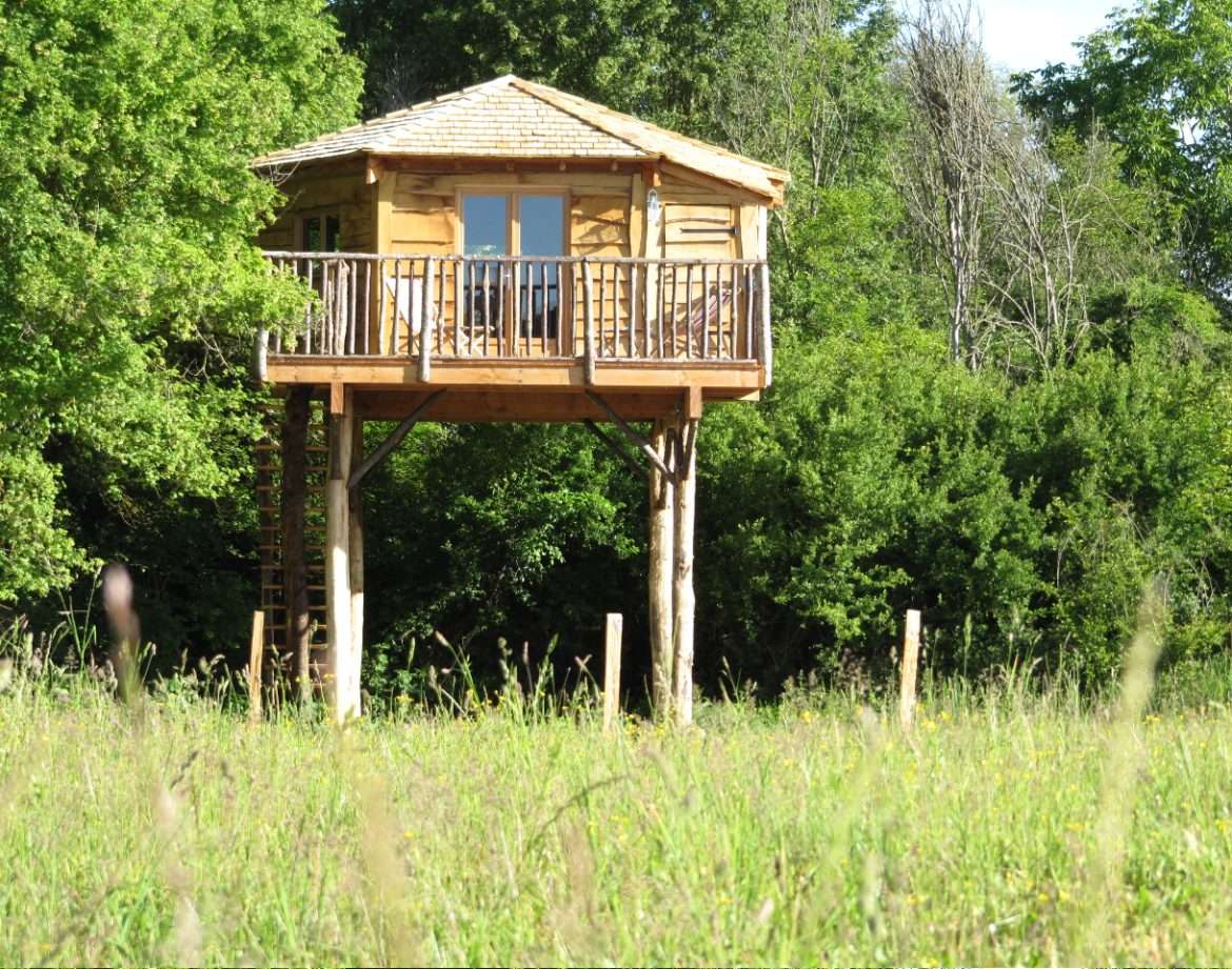 Cabane perchée en bois, entourée de verdure, avec balcon et échelle.