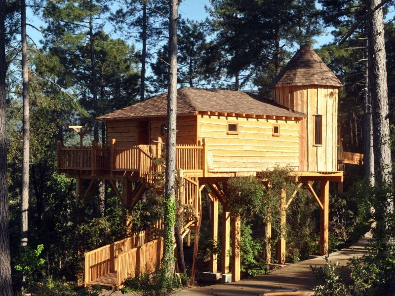 Cabane dans les arbres en bois, perchée au milieu des sapins verdoyants.