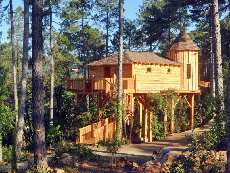 Cabane perchée en bois dans les arbres, entourée de verdure en Auvergne-Rhône-Alpes.