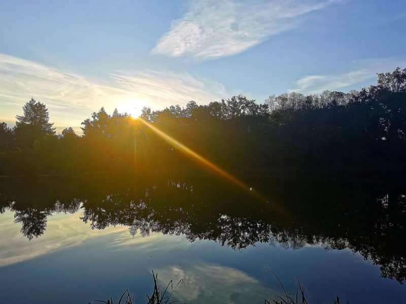 Chalet au bord dun lac, reflet des arbres au coucher du soleil.