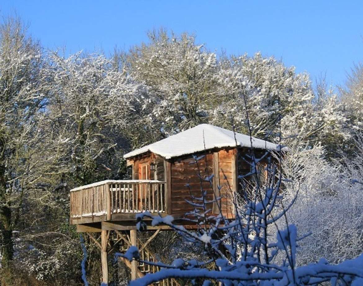 Cabane dans les arbres en bois, perchée, entourée de neige et de verdure.