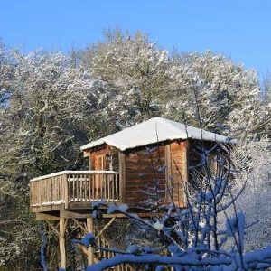 Cabane dans les arbres en bois, perchée, entourée de neige et de verdure.