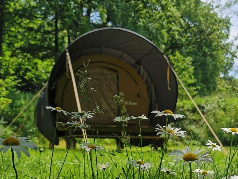 Tente de glamping entourée de fleurs sauvages dans un cadre verdoyant.