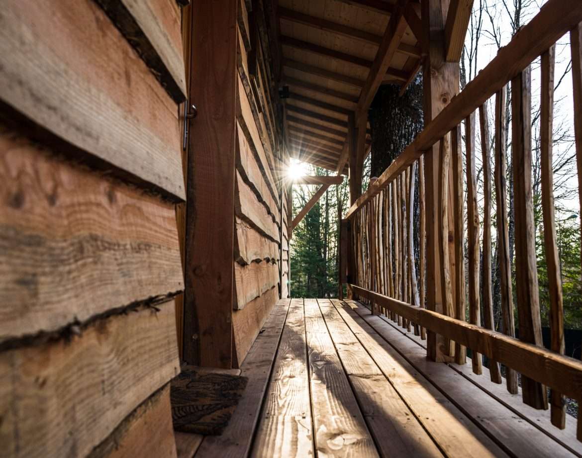 Cabane en bois avec une terrasse ensoleillée, entourée de nature verdoyante.