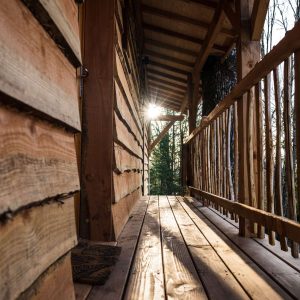 Cabane en bois avec une terrasse ensoleillée, entourée de nature verdoyante.