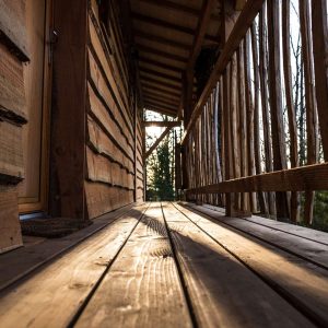 Cabane en bois avec un chemin en planches, baignée de lumière dorée.