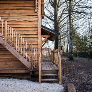 Cabane en bois perchée, entourée darbres, avec un escalier en bois rustique.