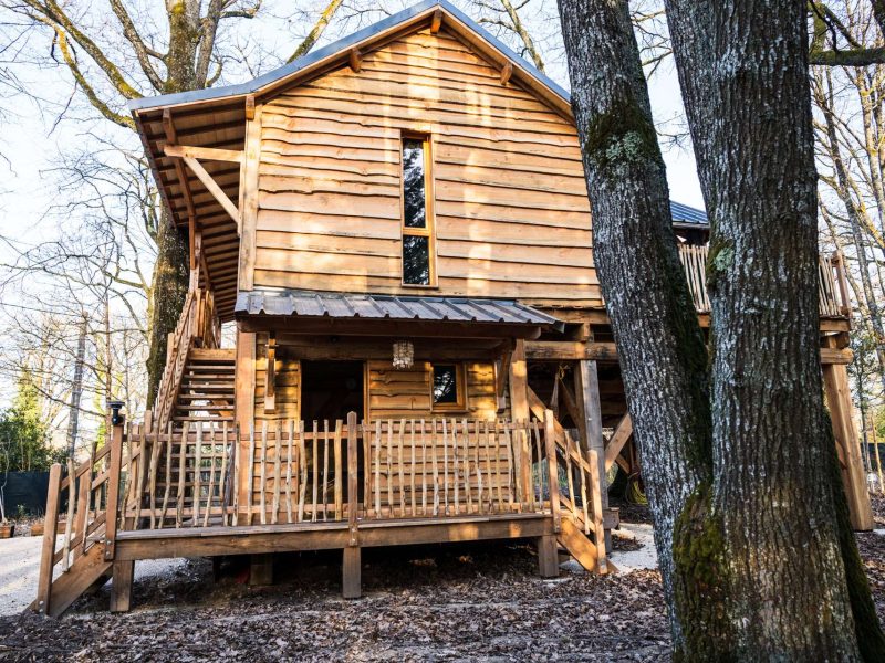 Cabane en bois perchée, entourée darbres, avec une terrasse accueillante.