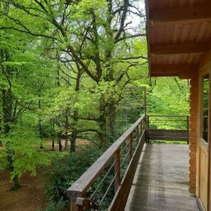 Cabane en bois perchée, offrant une vue sur la verdure luxuriante des Midi-Pyrénées.