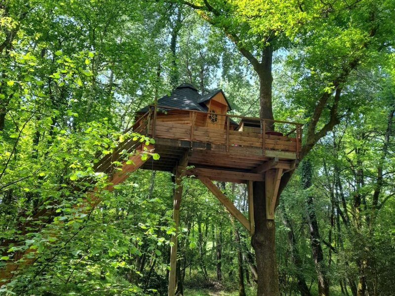 Cabane perchée en bois dans les arbres, entourée de verdure luxuriante.