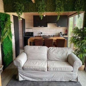 Hébergement insolite en Midi-Pyrénées : chalet moderne avec plantes vertes et cuisine équipée.