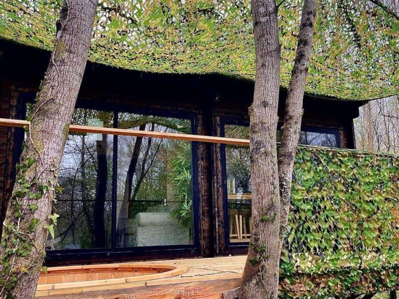 Cabane perchée camouflée dans les arbres, entourée de verdure à Midi-Pyrénées.