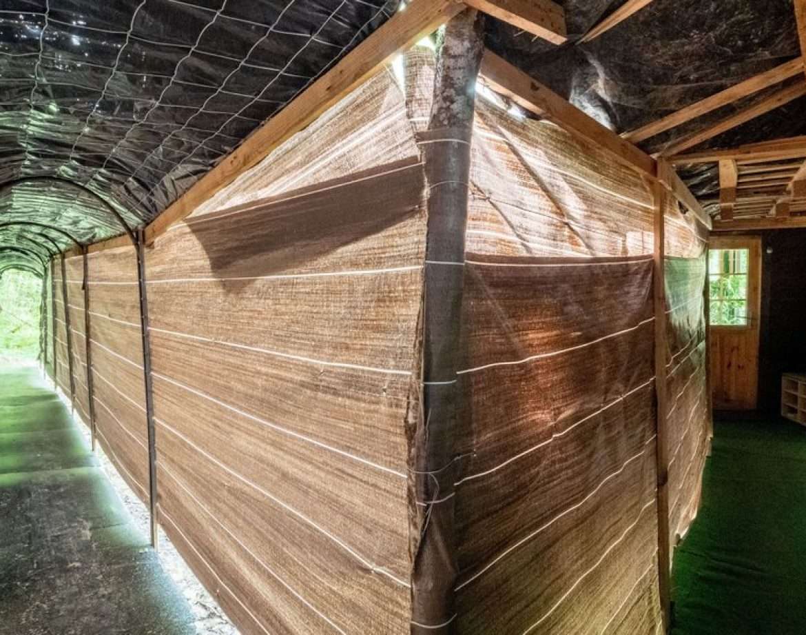 Hébergement insolite en Midi-Pyrénées, couloir en bois avec parois en toile naturelle.