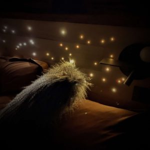 Hébergement insolite en Midi-Pyrénées, lit cosy avec étoiles scintillantes au mur.