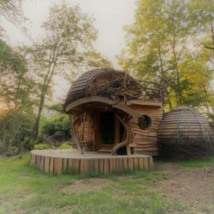 Cabane en bois originale, entourée darbres, avec un toit en forme de dôme.