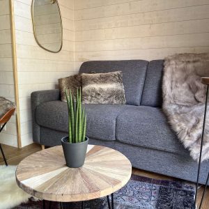 Hébergement insolite en Auvergne : salon cosy avec canapé gris et plantes décoratives.