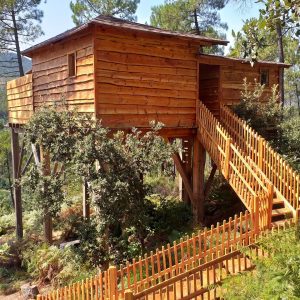 Cabane perchée en bois, entourée darbres, avec une terrasse en bois.