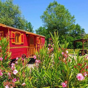 Roulotte colorée entourée de fleurs, au cœur de la nature en Auvergne-Rhône-Alpes.