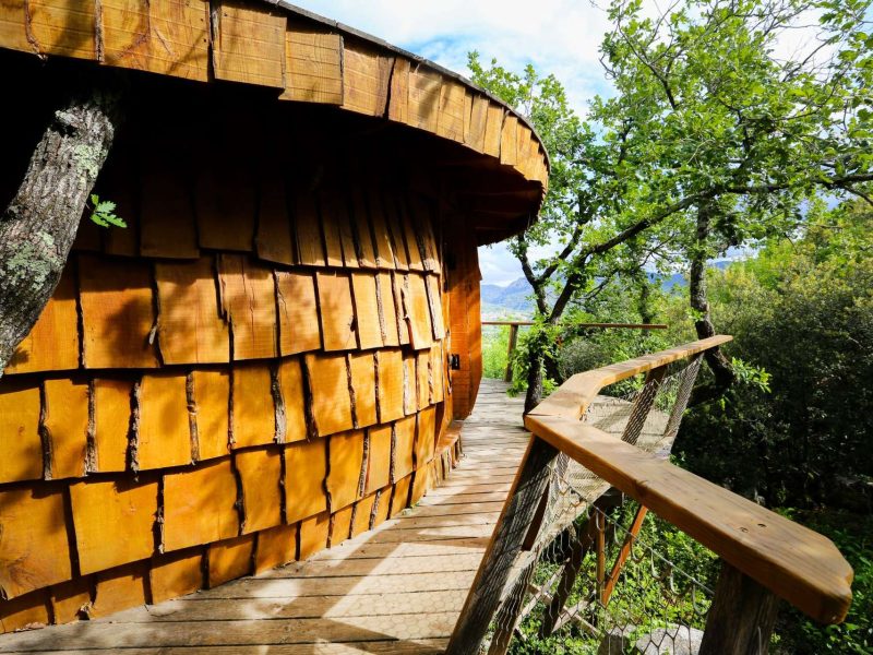 Cabane en bois dans les arbres, avec un chemin en bois et vue sur la nature.