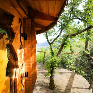 Cabane perchée en bois, entourée darbres, offrant une vue imprenable sur la nature.